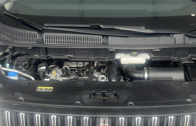 HongQi HQ9 2023 car image #14