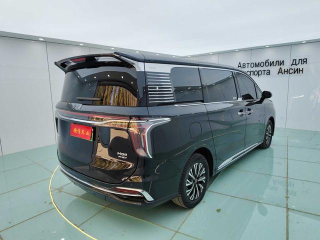 HongQi HQ9 PHEV 2024 #14 HongQi HQ9 PHEV 2024 car image #14