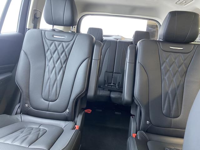 HongQi HS7 PHEV 2024 car image #14