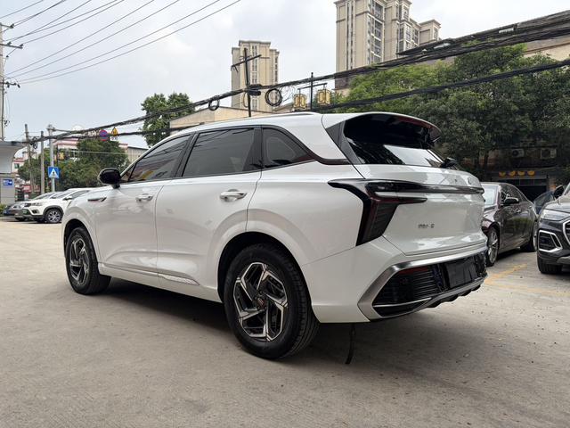 HongQi HS3 2023 immagine di auto #14