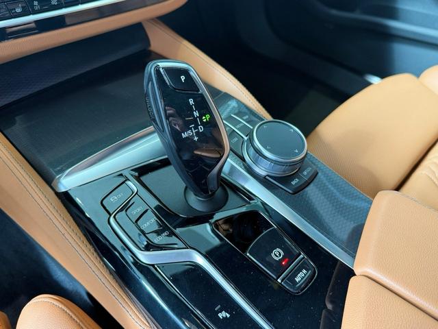 BMW 5 Series (Imported) 2021 #14 BMW 5 Series (Imported) 2021 immagine di auto #14