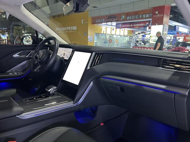 HongQi HS7 PHEV 2024 car image #14