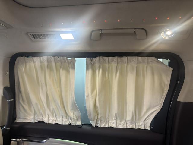 HongQi HQ9 2022 car image #14