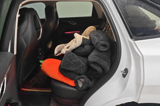 HongQi HS3 2023 immagine di auto #14