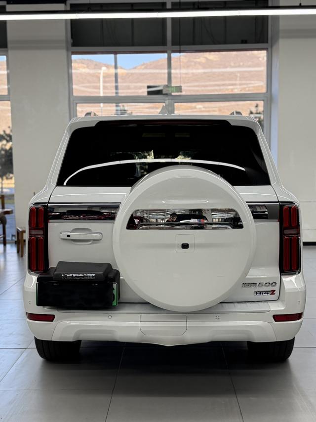 Tank 500 2024 car image #14