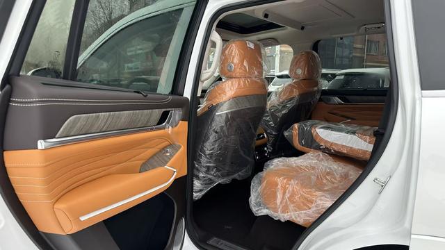 Tank 500 2025 car image #14