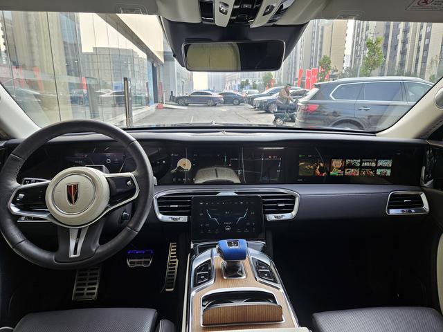 HongQi E-HS9 2022 car image #14