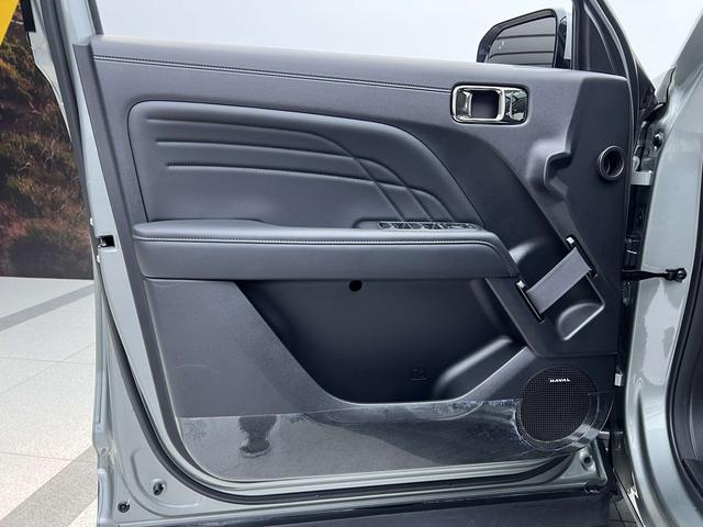 Haval Raptor New Energy 2024 car image #14