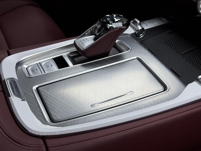 Tank 700 New Energy 2025 immagine di auto #14