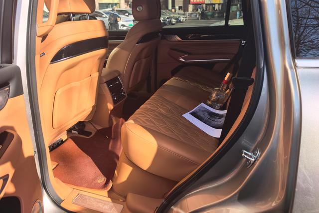 Tank 500 New Energy 2024 car image #14