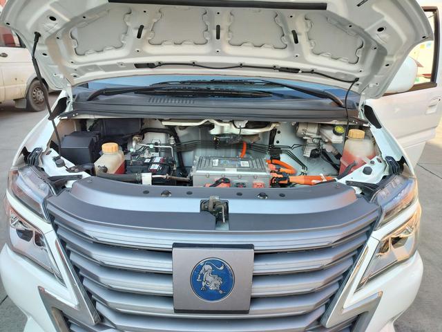 Forthing Lingzhi EV 2022 #14 Forthing Lingzhi EV 2022 immagine di auto #14