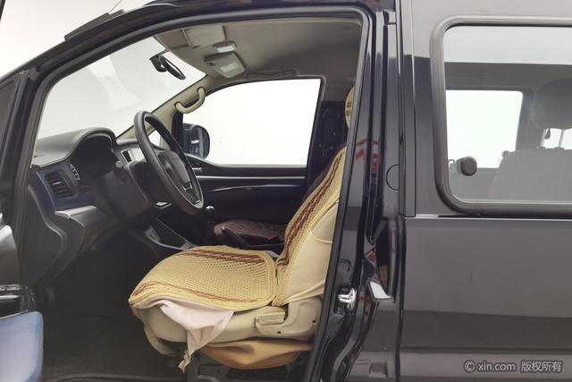 Forthing Lingzhi 2021 immagine di auto #14