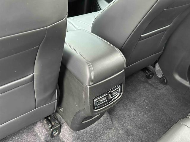 X70M 2020 car image #14