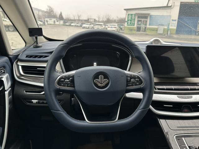 睿蓝汽车 枫叶80v PRO 2024 汽车图片 #14
