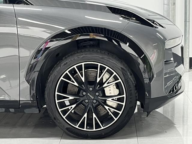 极氪 极氪X 2024 汽车图片 #14