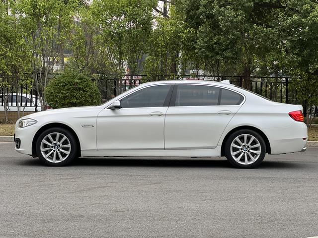 BMW 5 Series 2014 car image #14