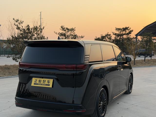 Denza D9 2023 imagem de carro #14