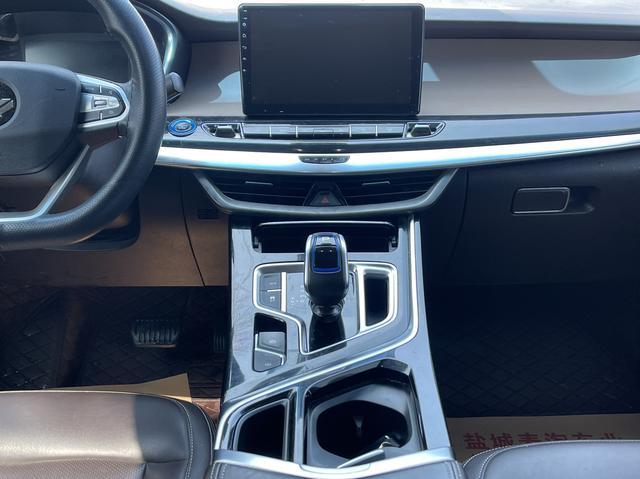 睿蓝汽车 枫叶80v 2020 汽车图片 #14