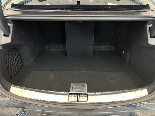 Denza 2024 immagine di auto #14