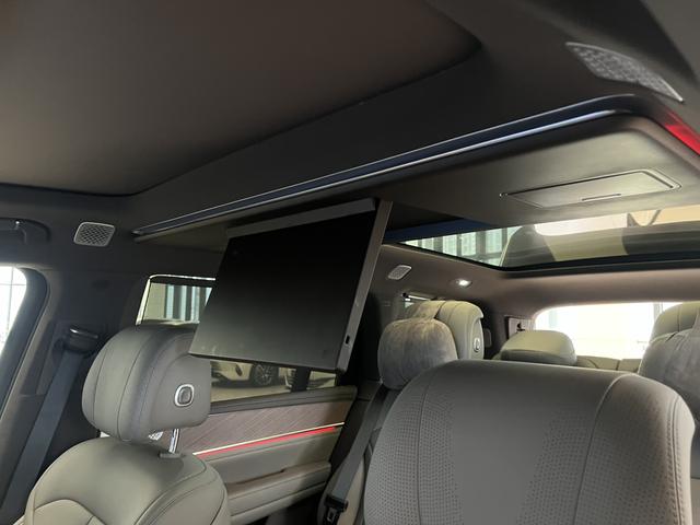 Denza 2025 imagem de carro #14