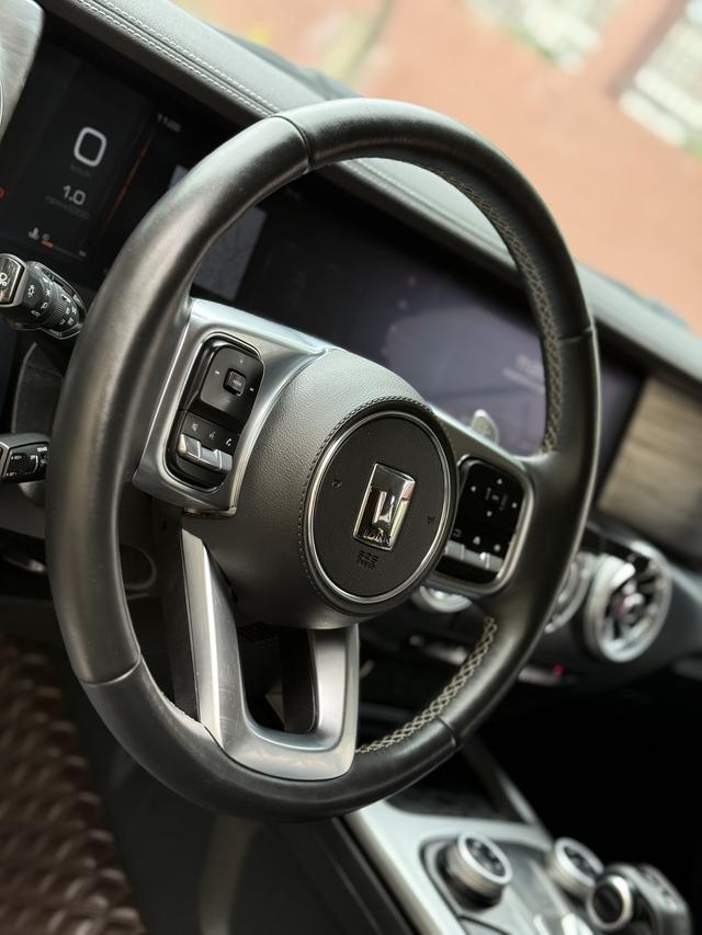 Tank 300 2022 car image #14