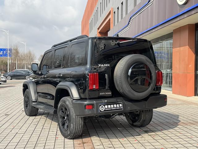 Tank 300 2023 car image #14