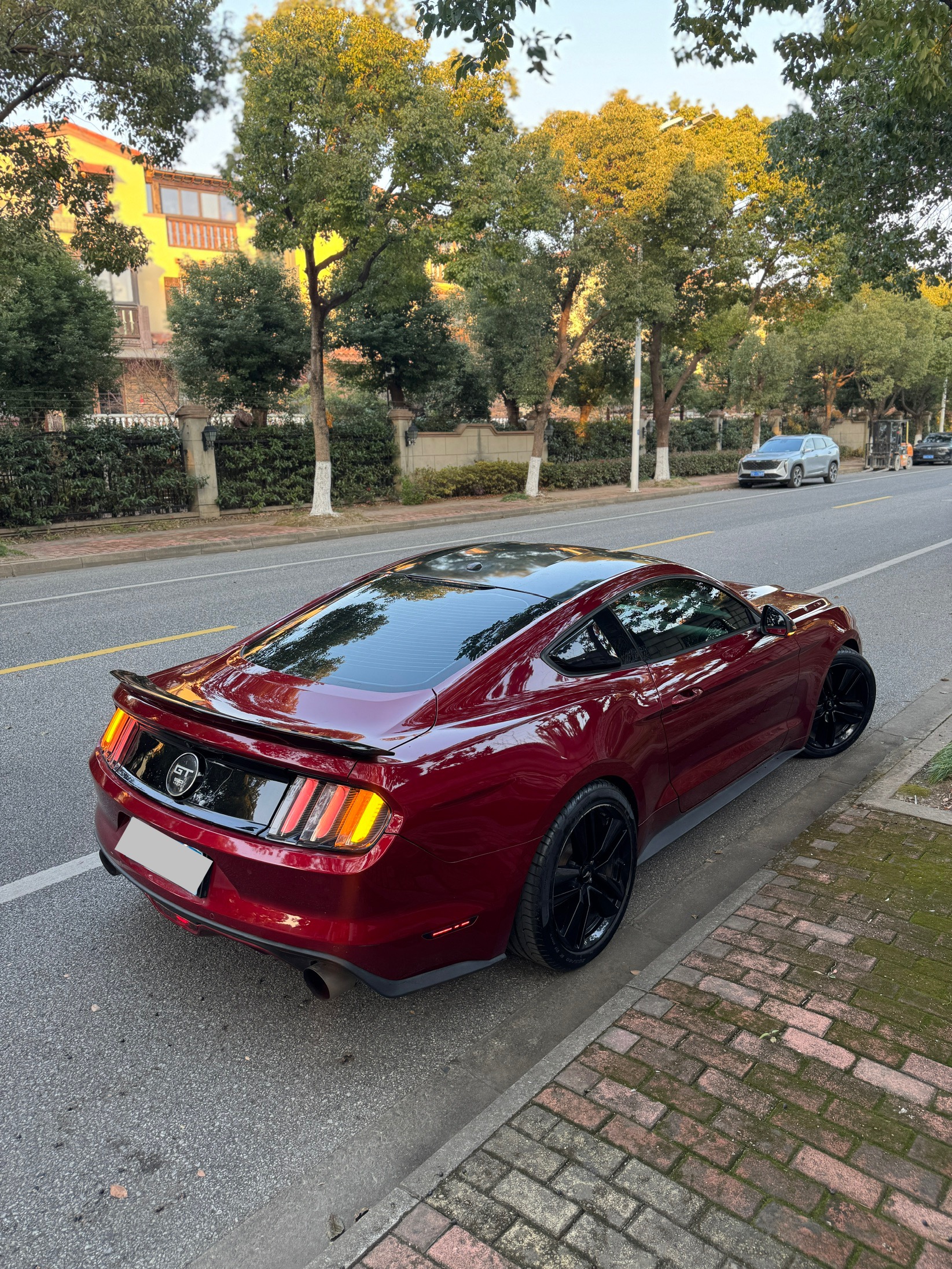 Ford Mustang 2017 car image #14