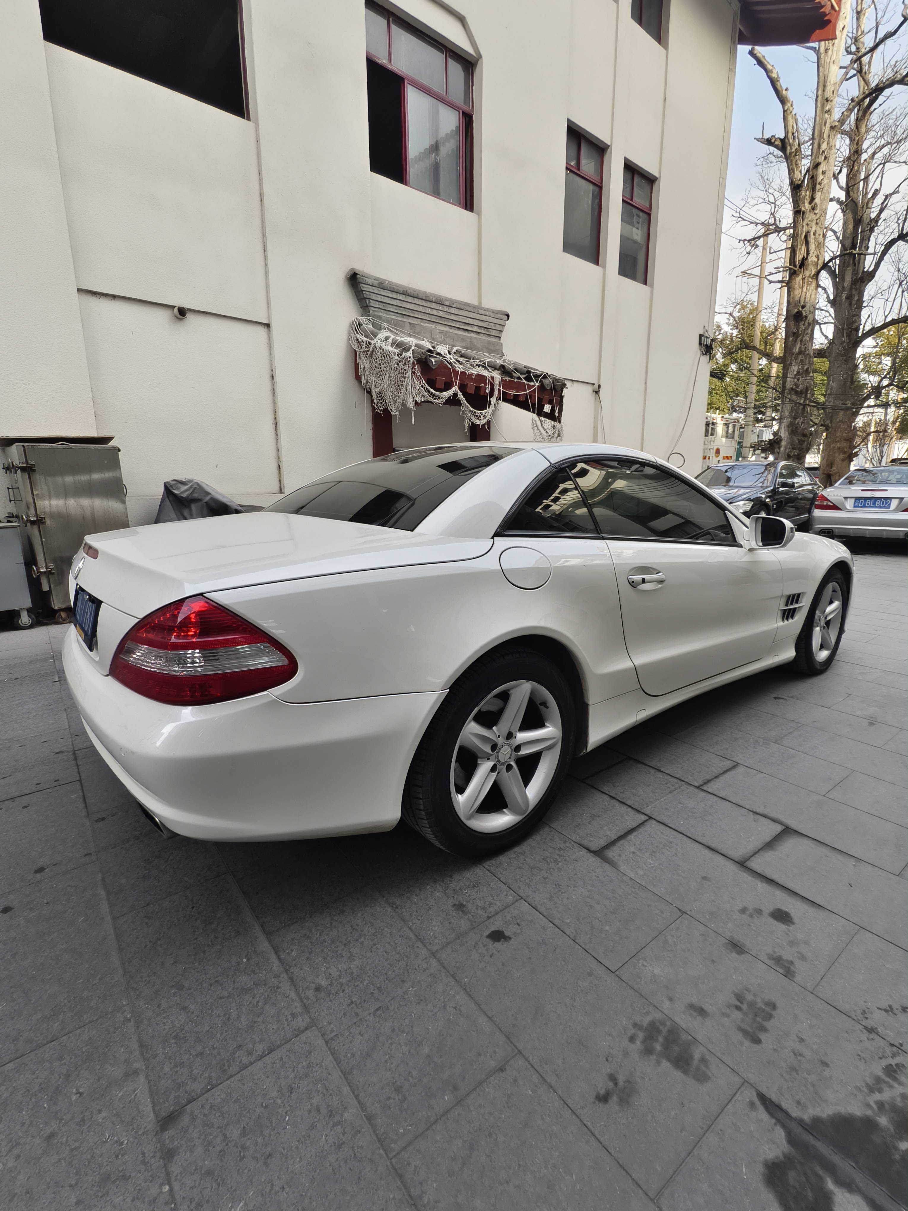 Mercedes-Benz SL Class 2010 immagine di auto #14