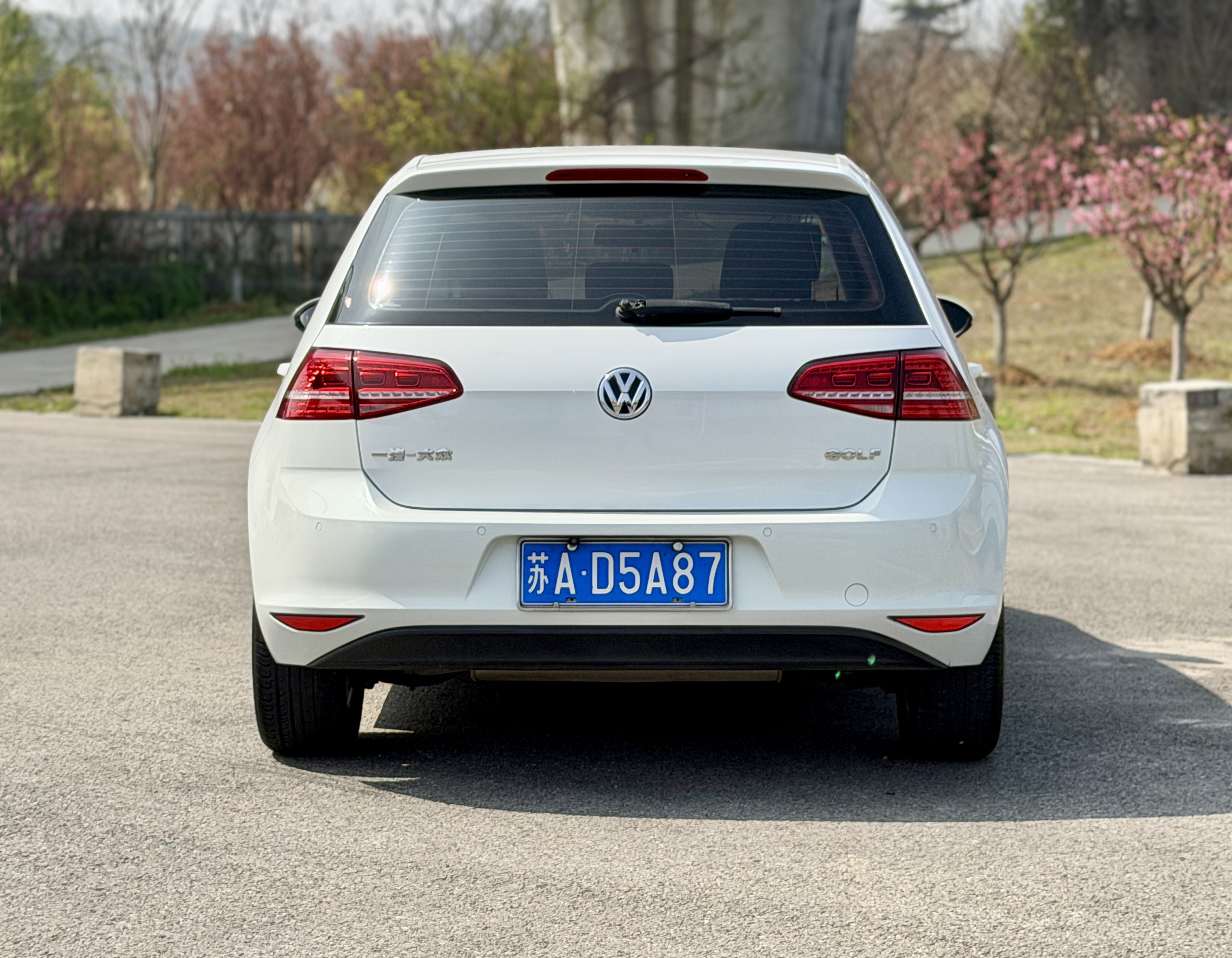 Volkswagen Golf 2014 #14 Volkswagen Golf 2014 car image #14