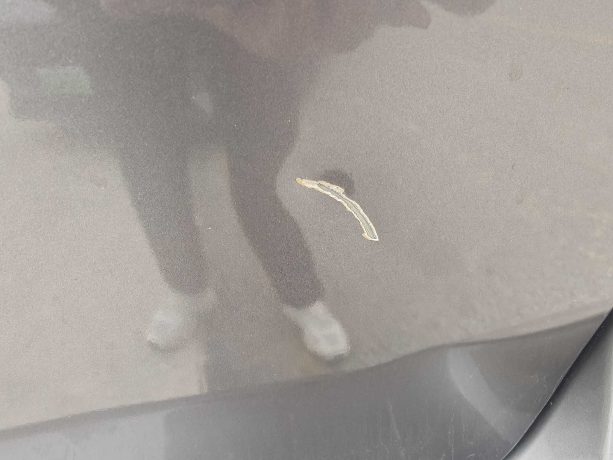 日产 骊威 2012 汽车图片 #14