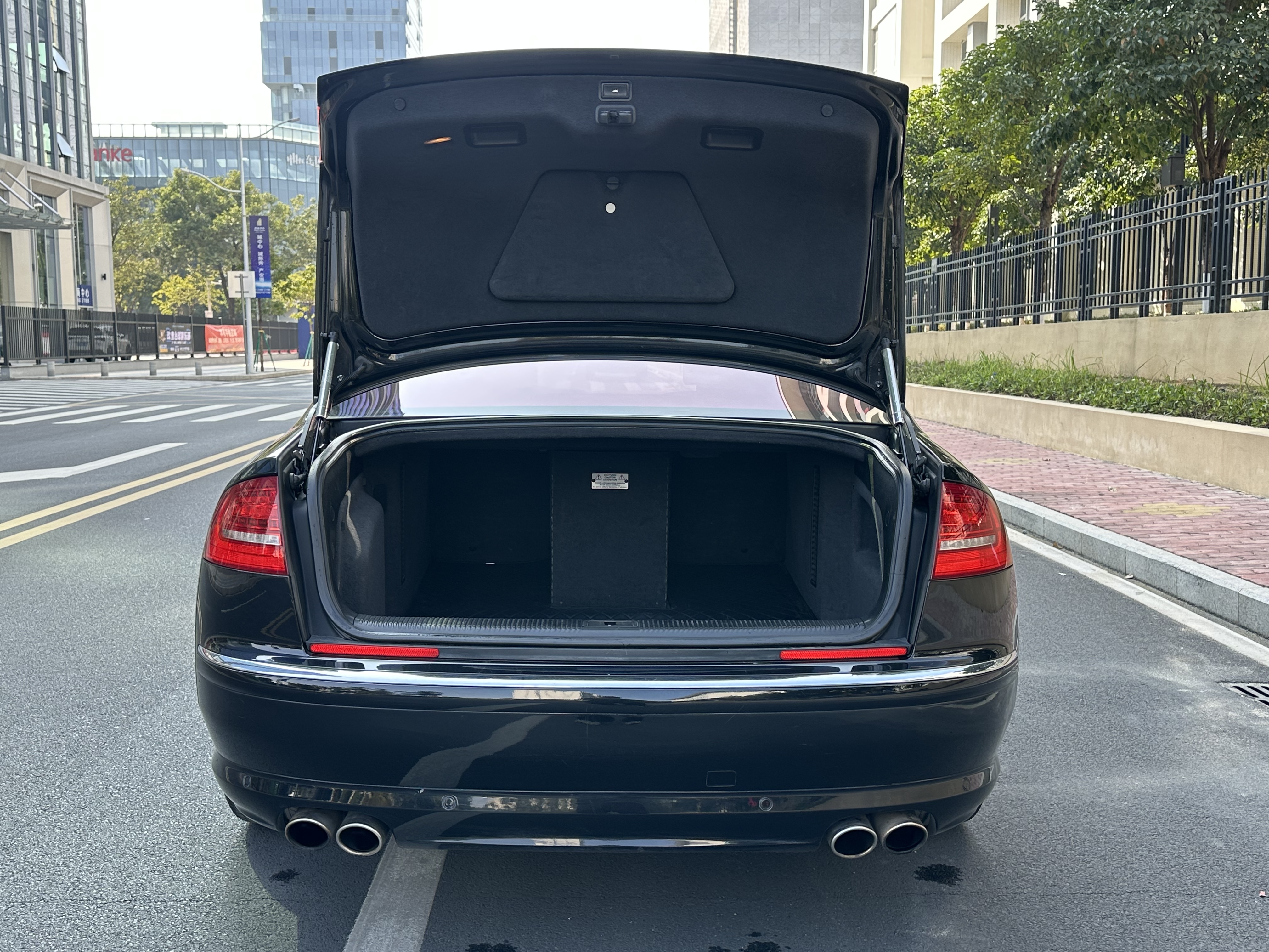 Audi S8 2008 car image #14