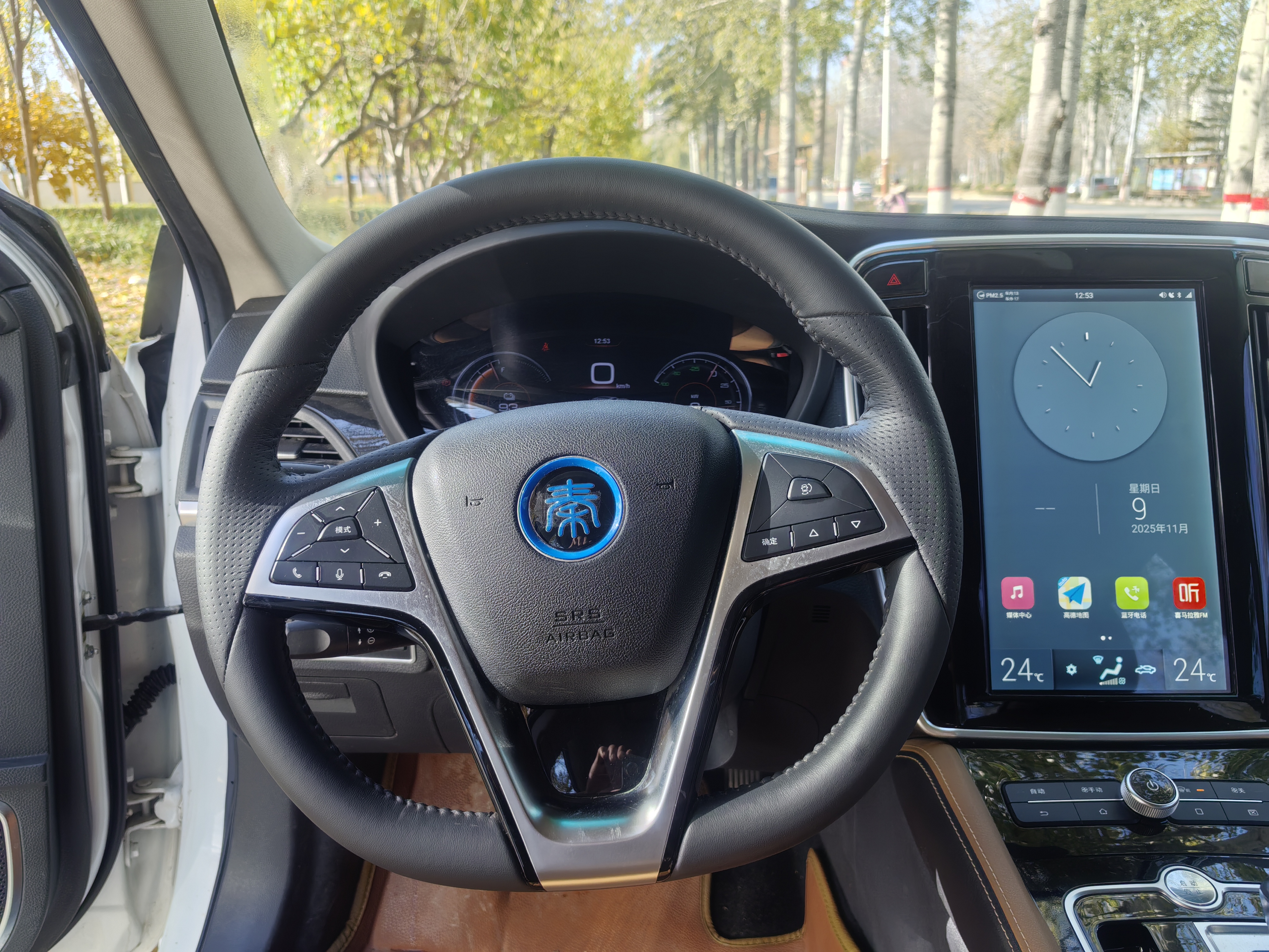 BYD Qin New Energy 2018 car image #14