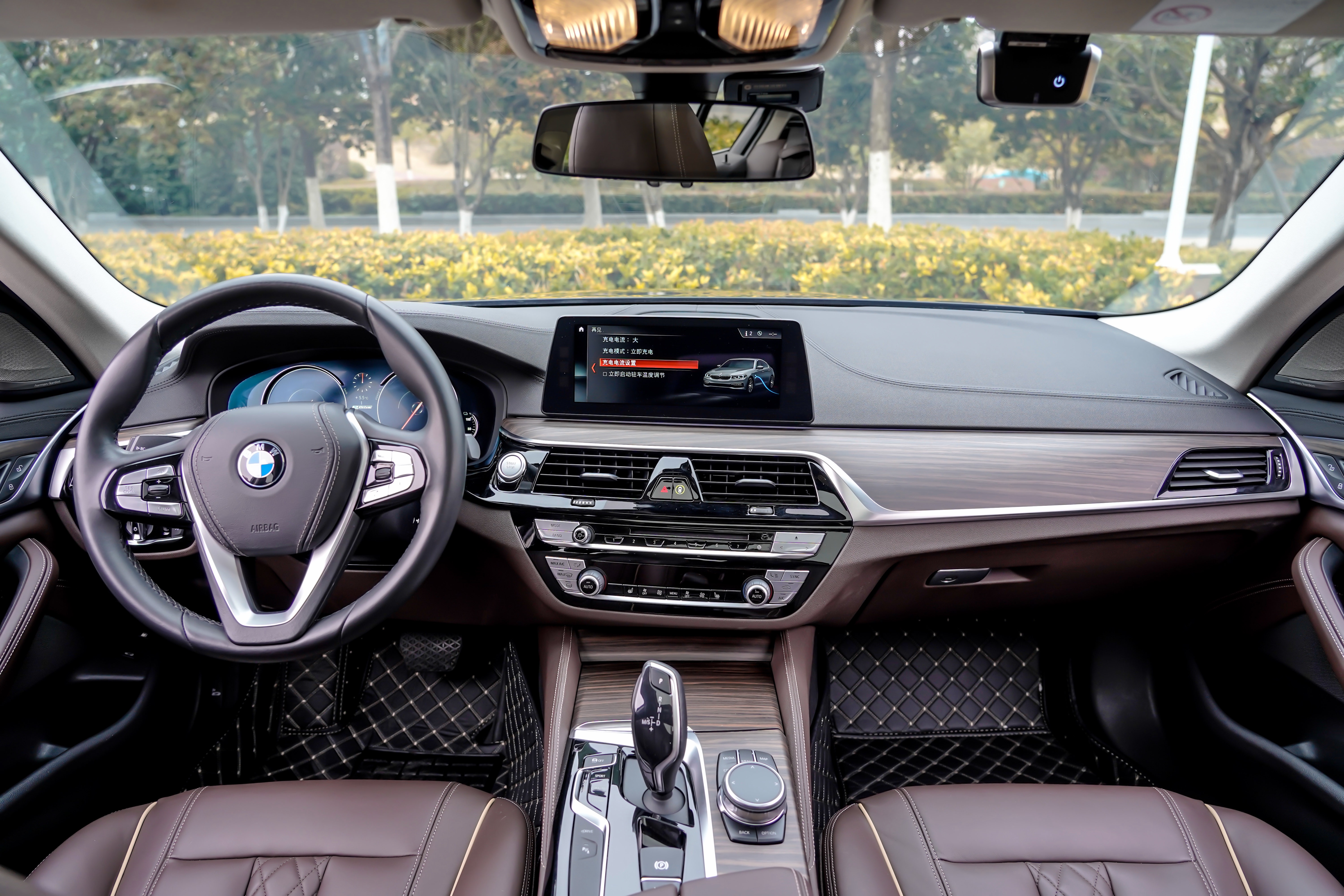 BMW 5 Series New Energy 2018 car image #14