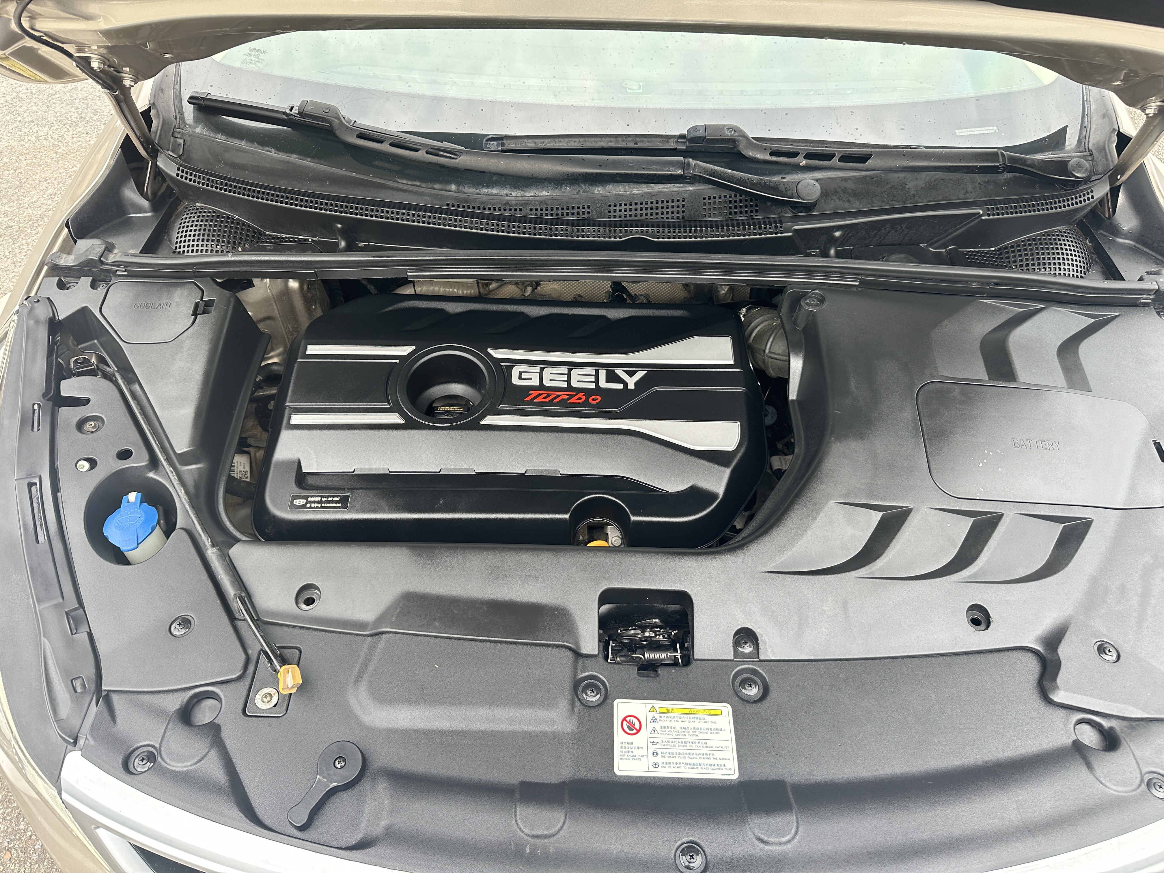 Emgrand GS 2019 #14 Emgrand GS 2019 car image #14