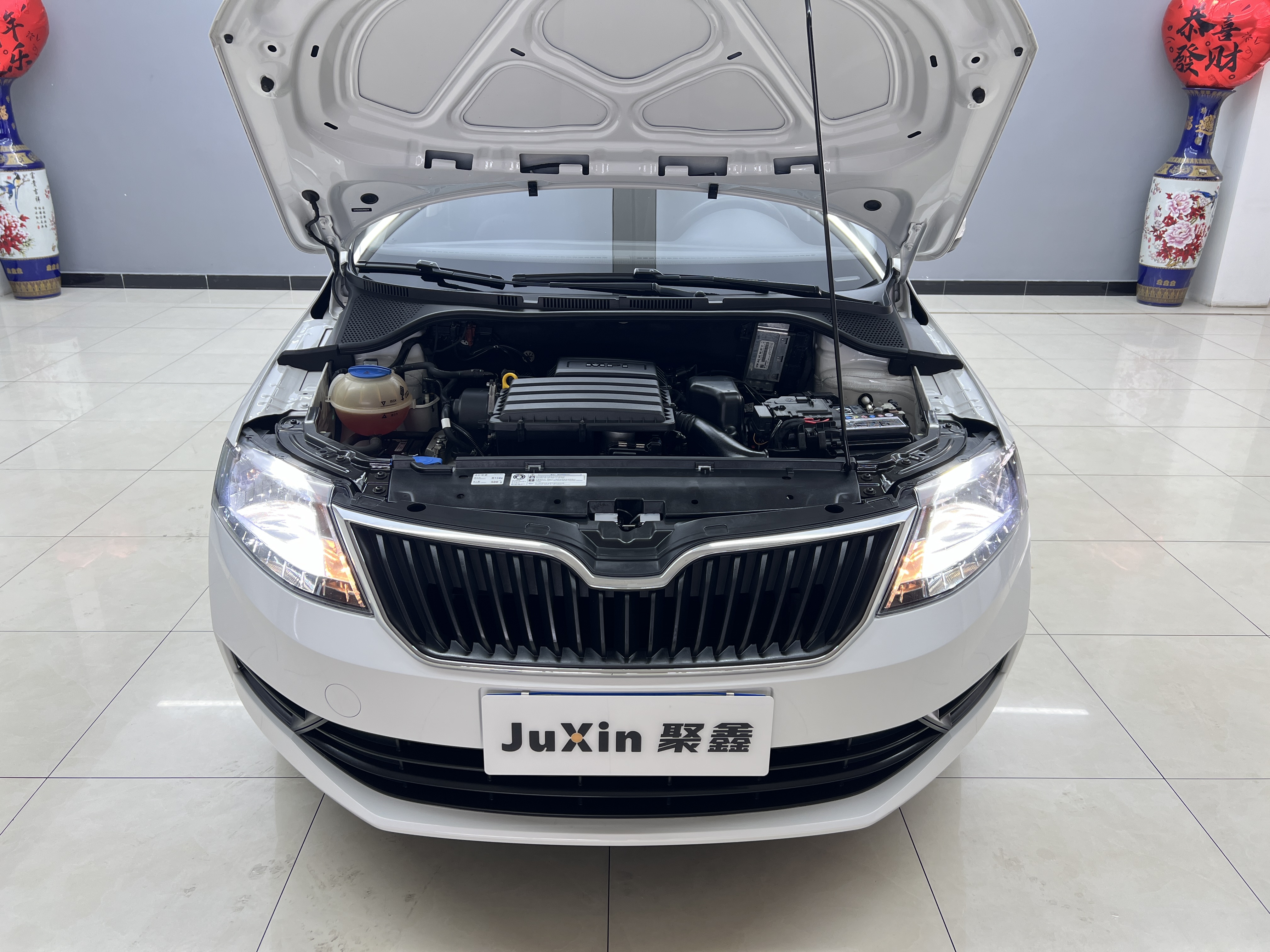 Skoda Rapid 2019 car image #14