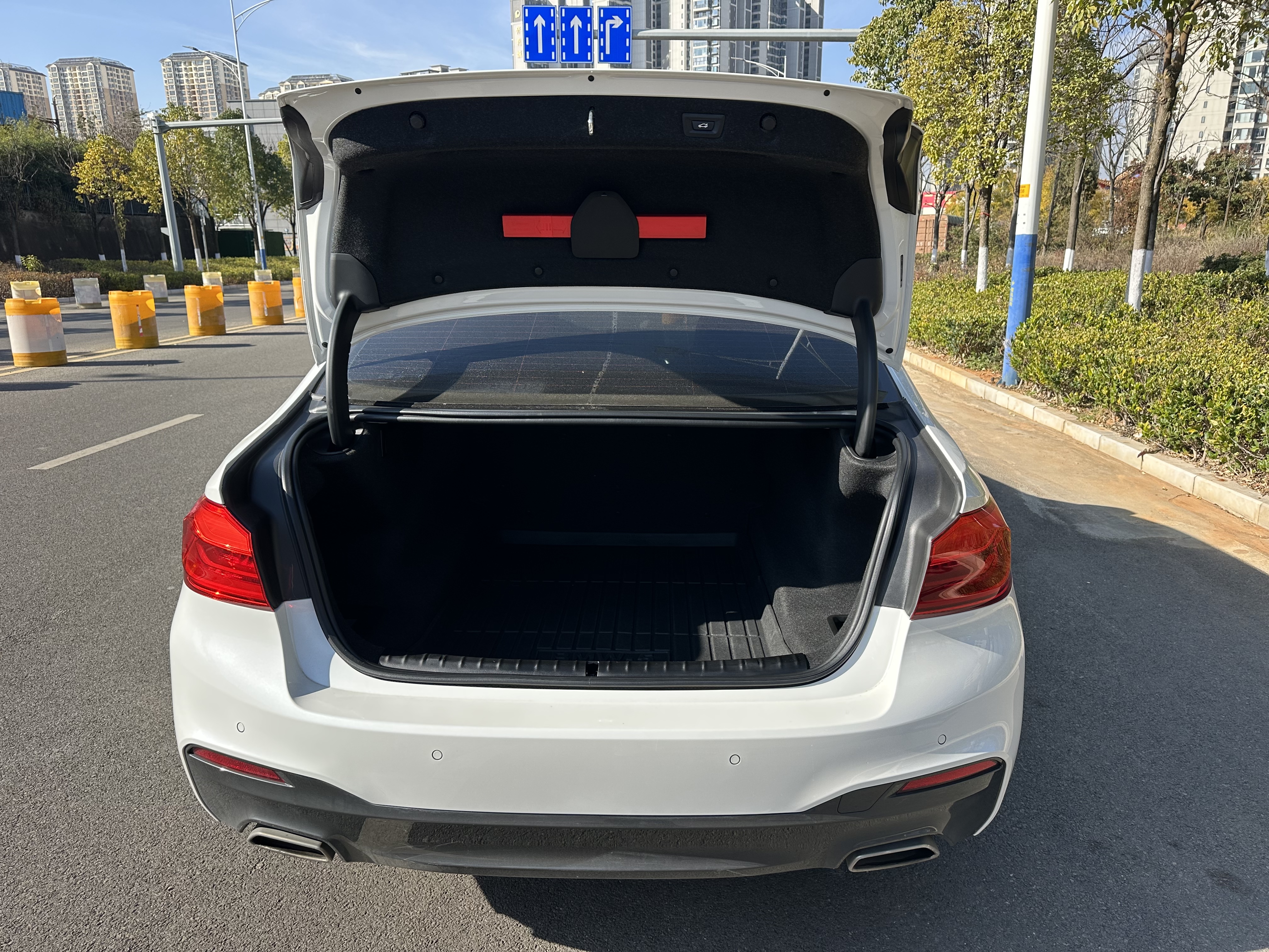 BMW 5 Series 2019 car image #14