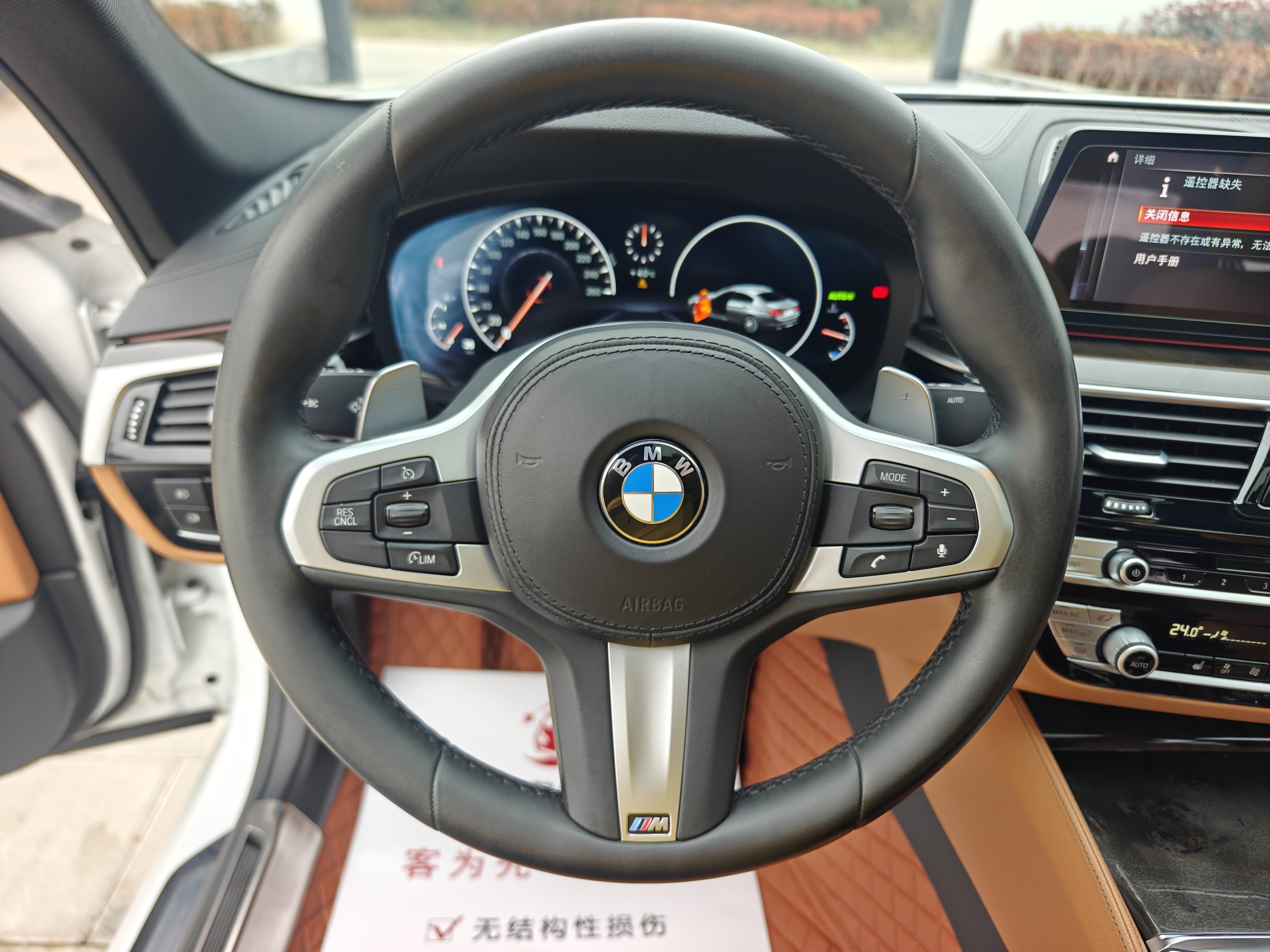 BMW 5 Series 2019 car image #14