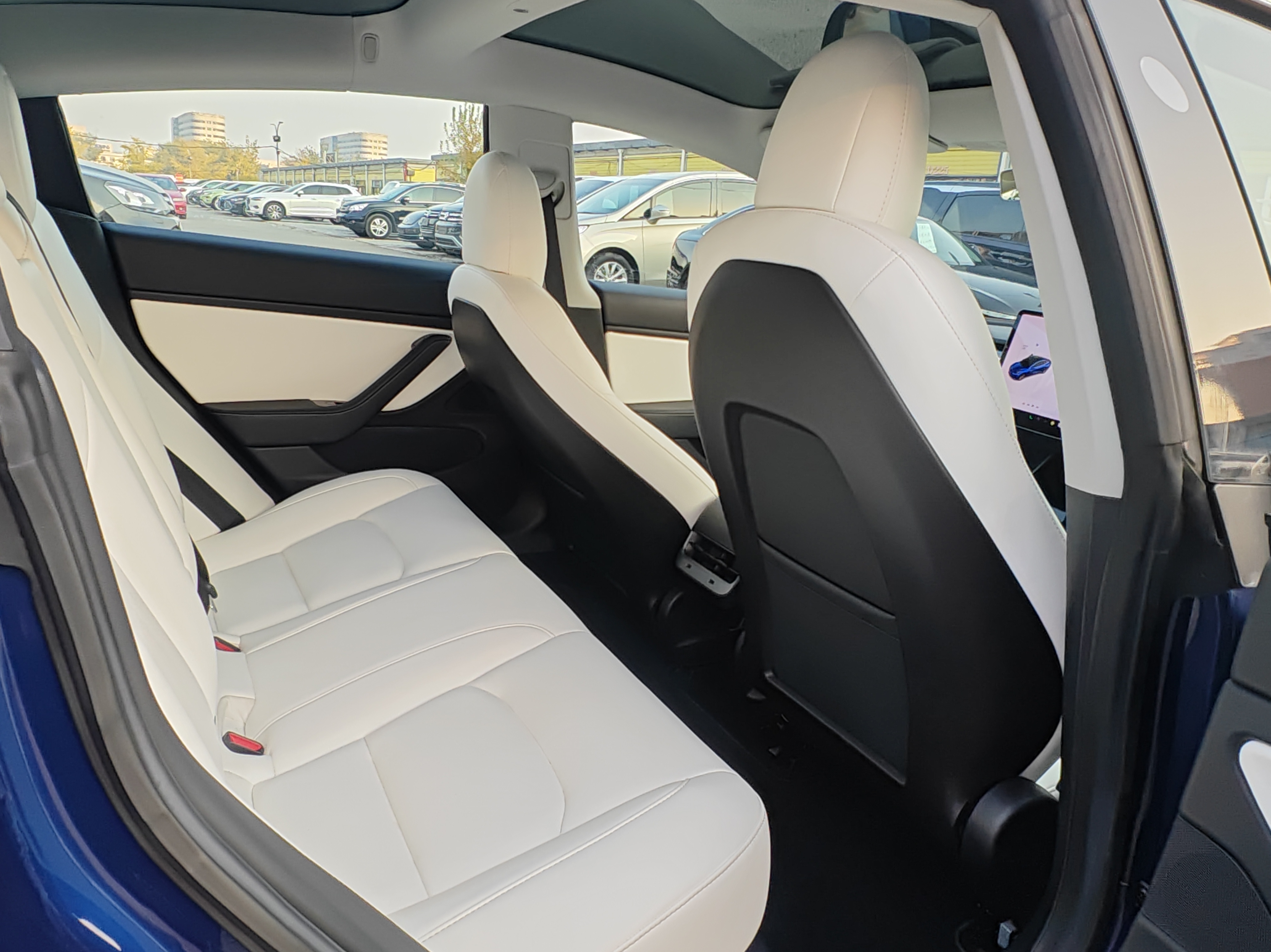 特斯拉 Model 3(进口) 2019 汽车图片 #14