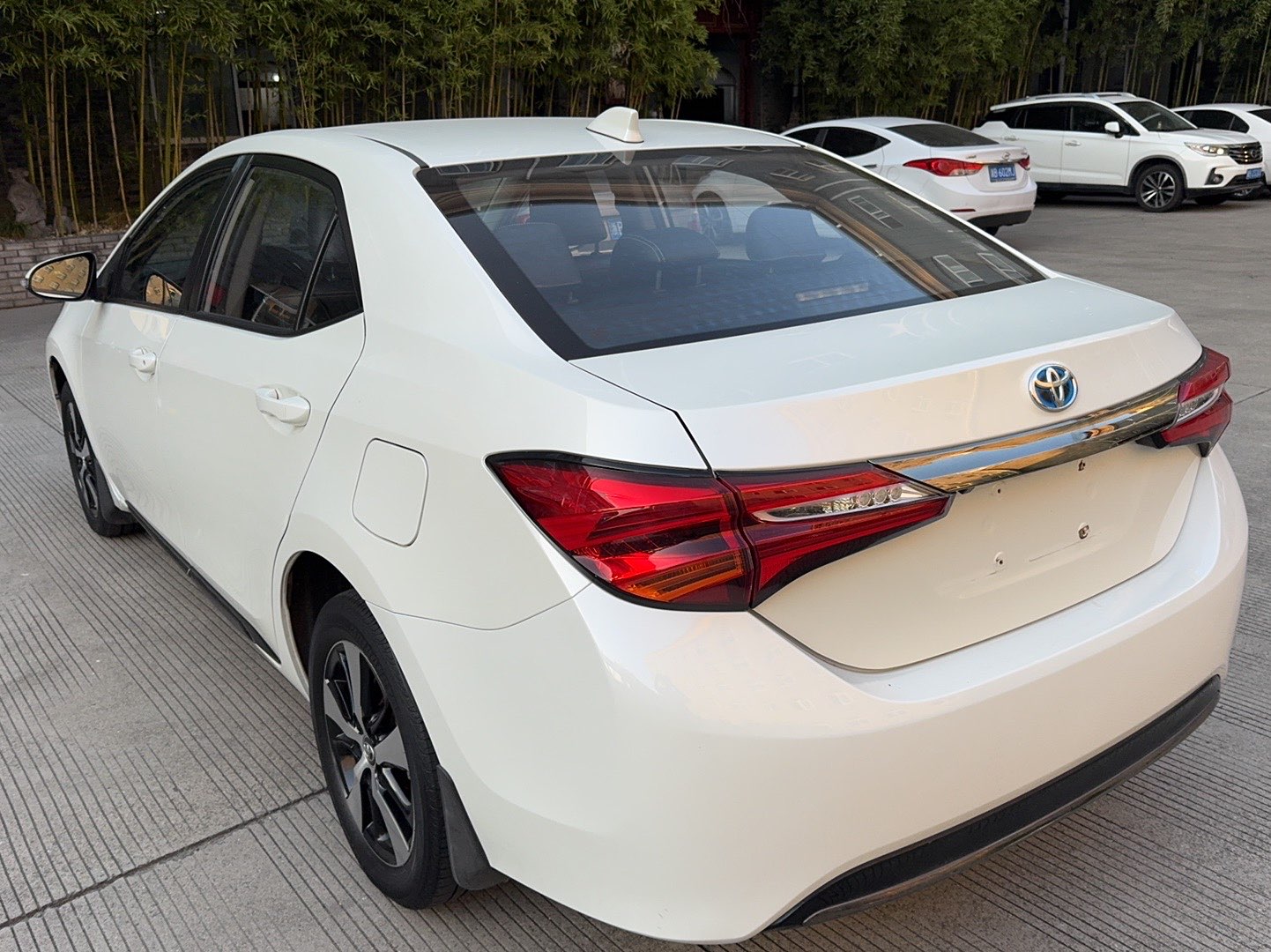 Toyota Levin Hybird E+ 2019 car image #14