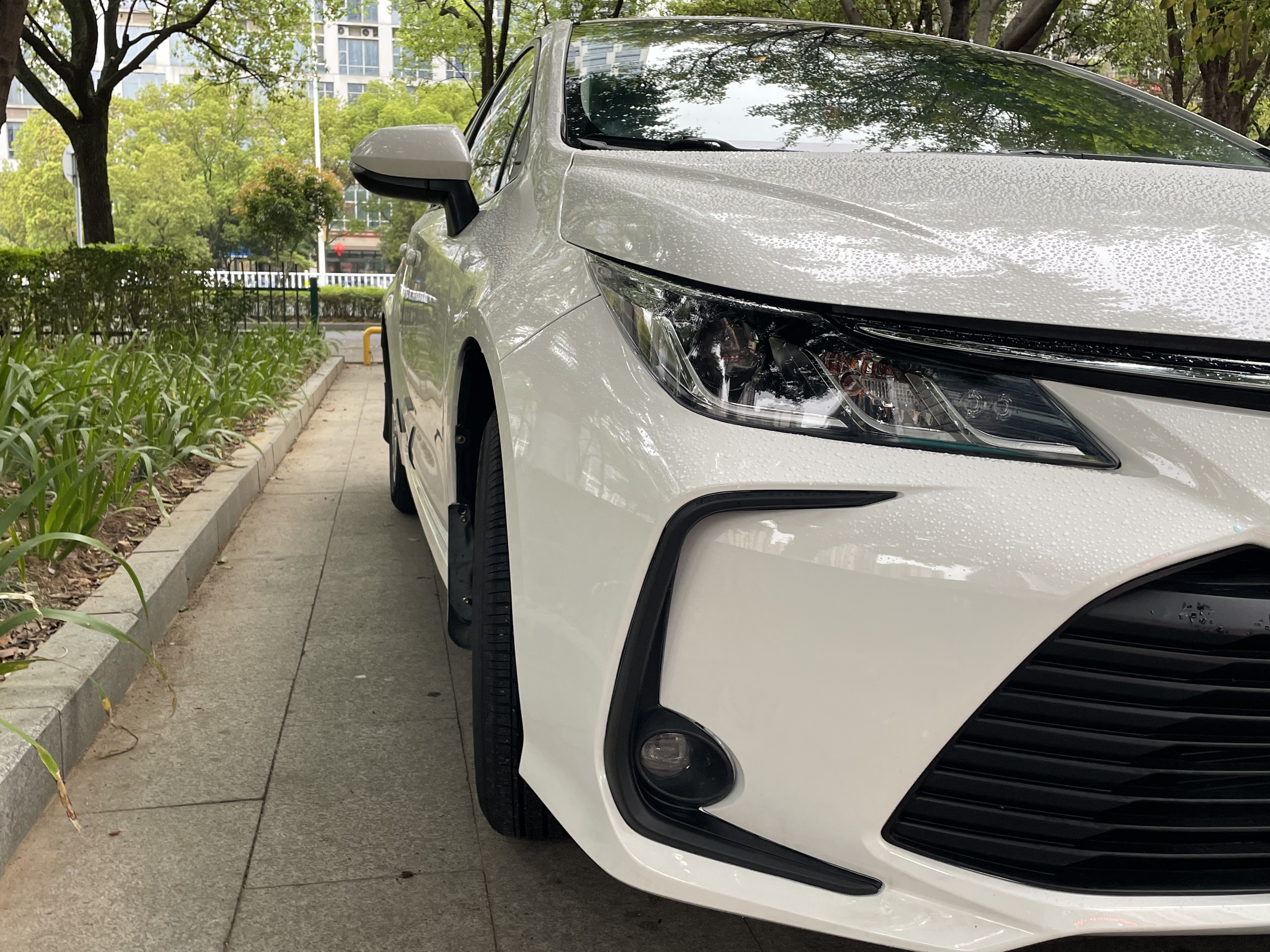 Corolla 2021 car image #14
