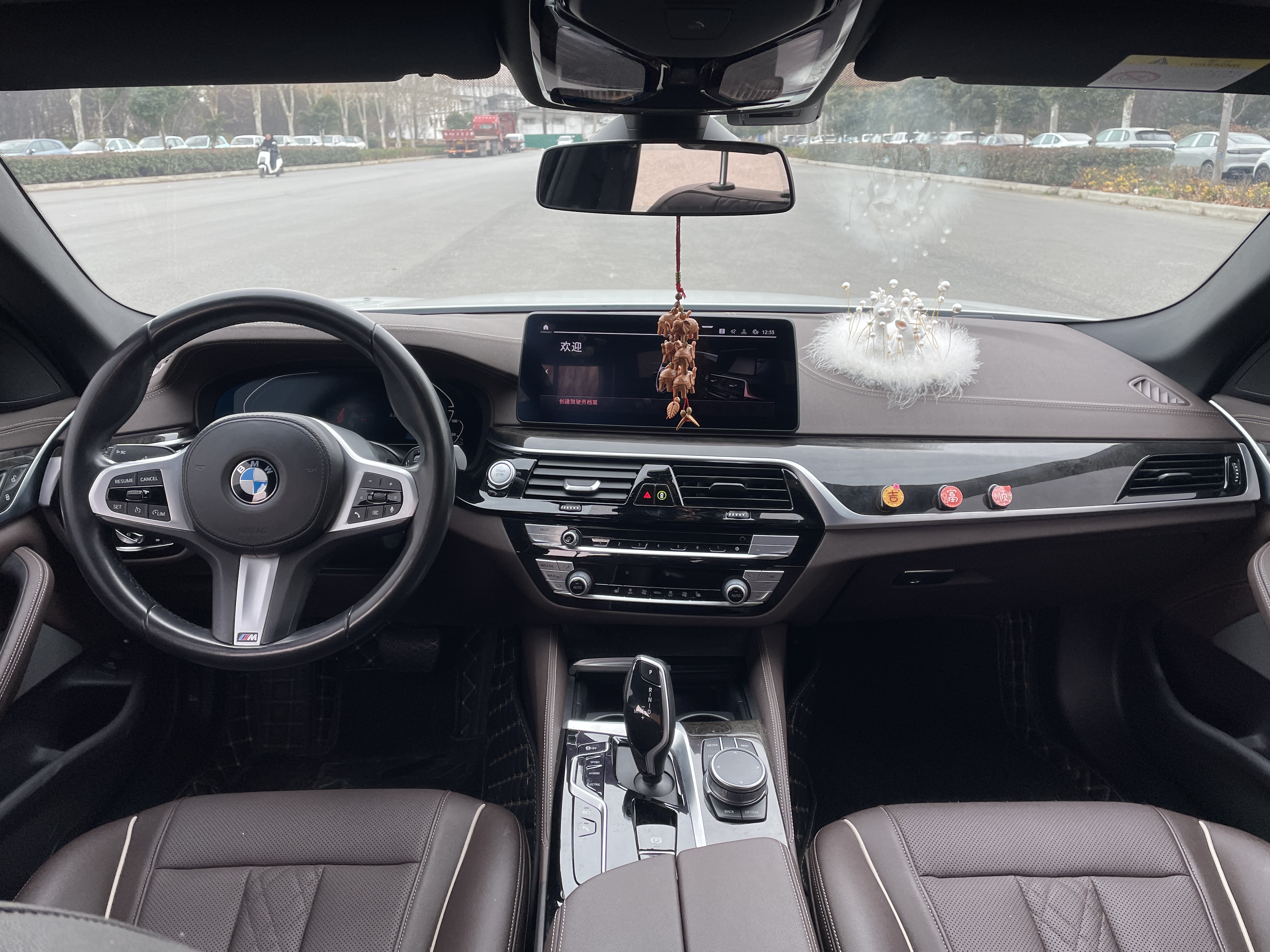 BMW 5 Series New Energy 2021 car image #14