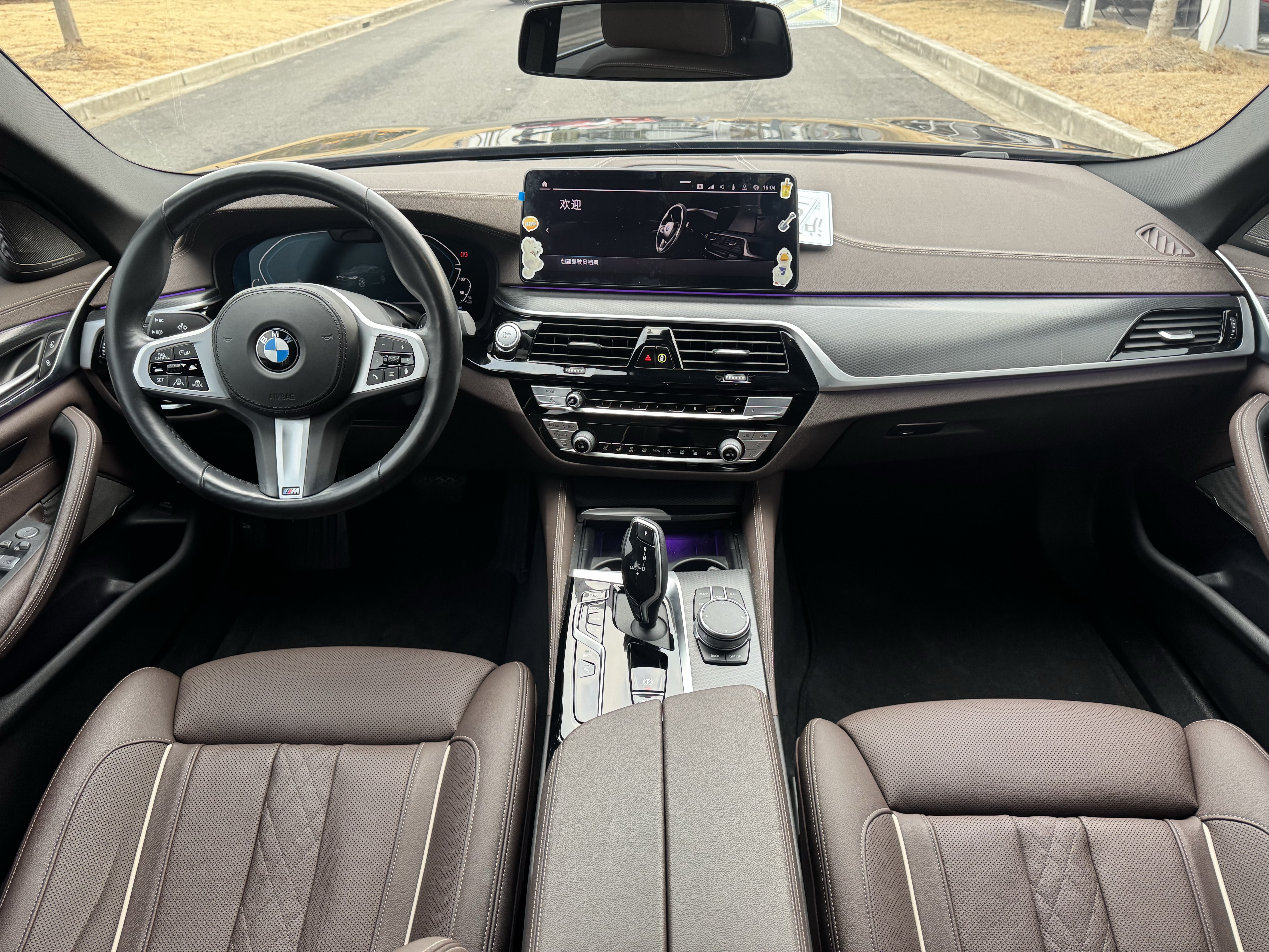 BMW 5 Series New Energy 2021 car image #14