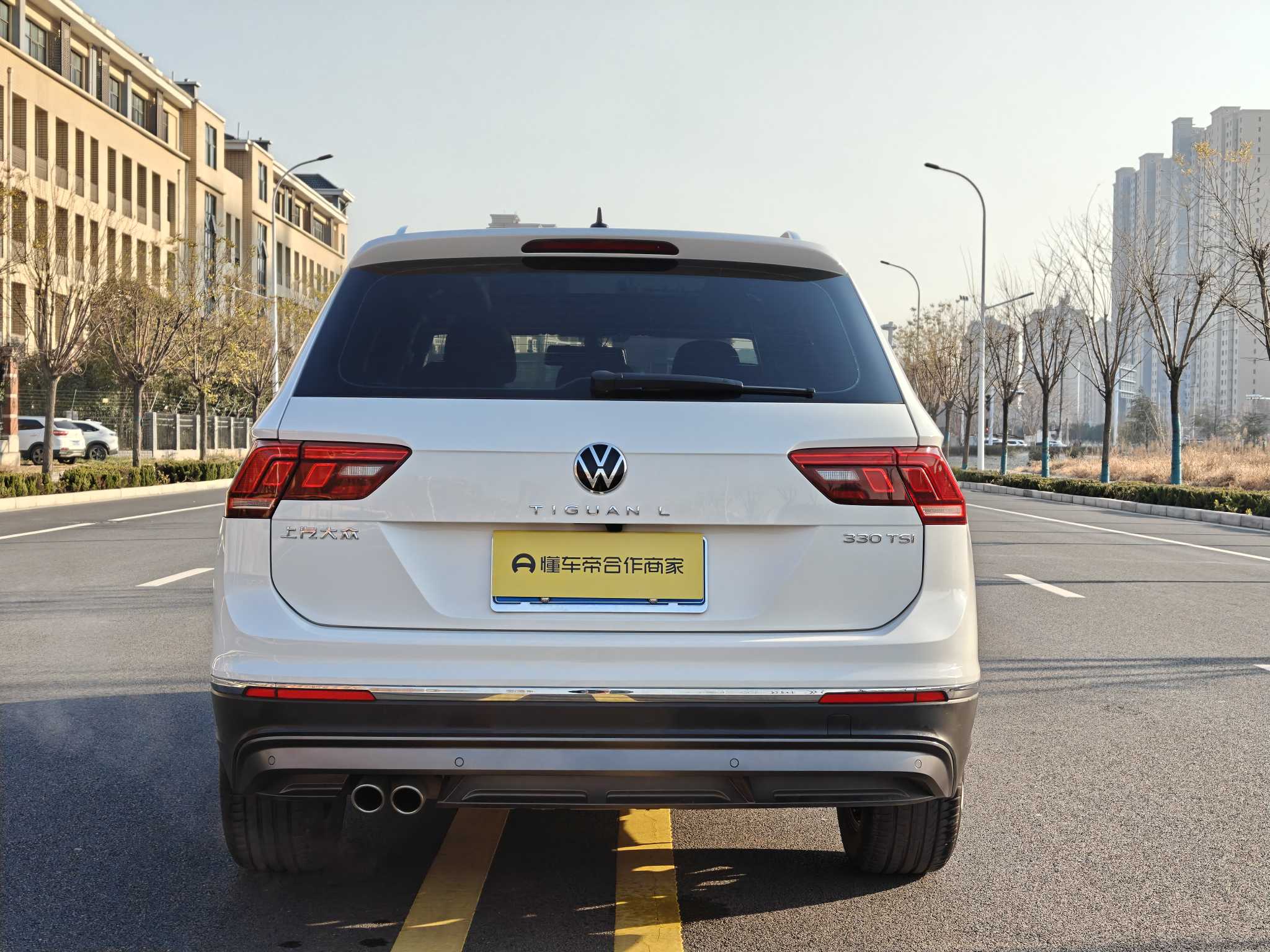 Volkswagen Tiguan L 2021 car image #14