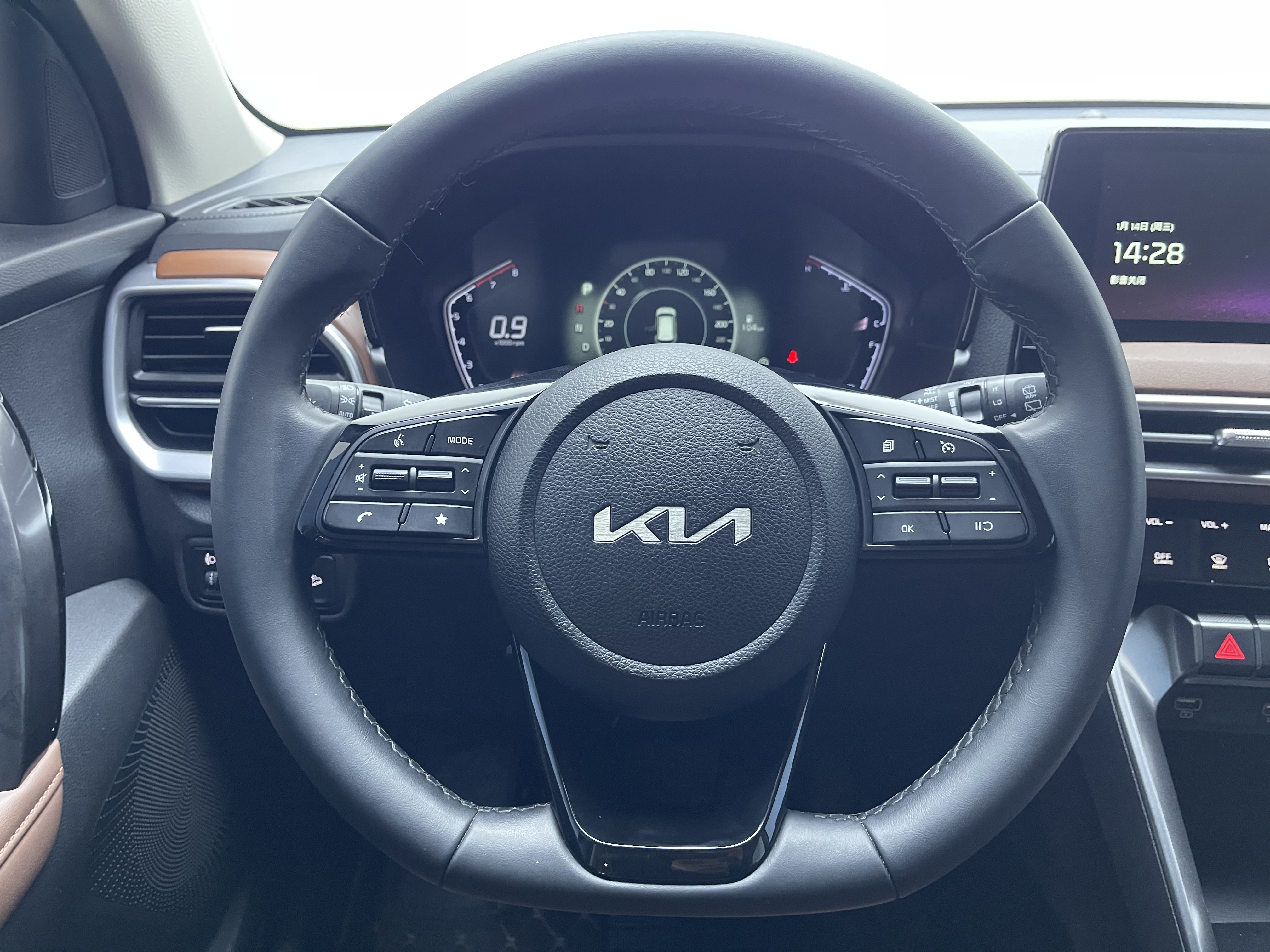 Kia Sportage R 2022 car image #14