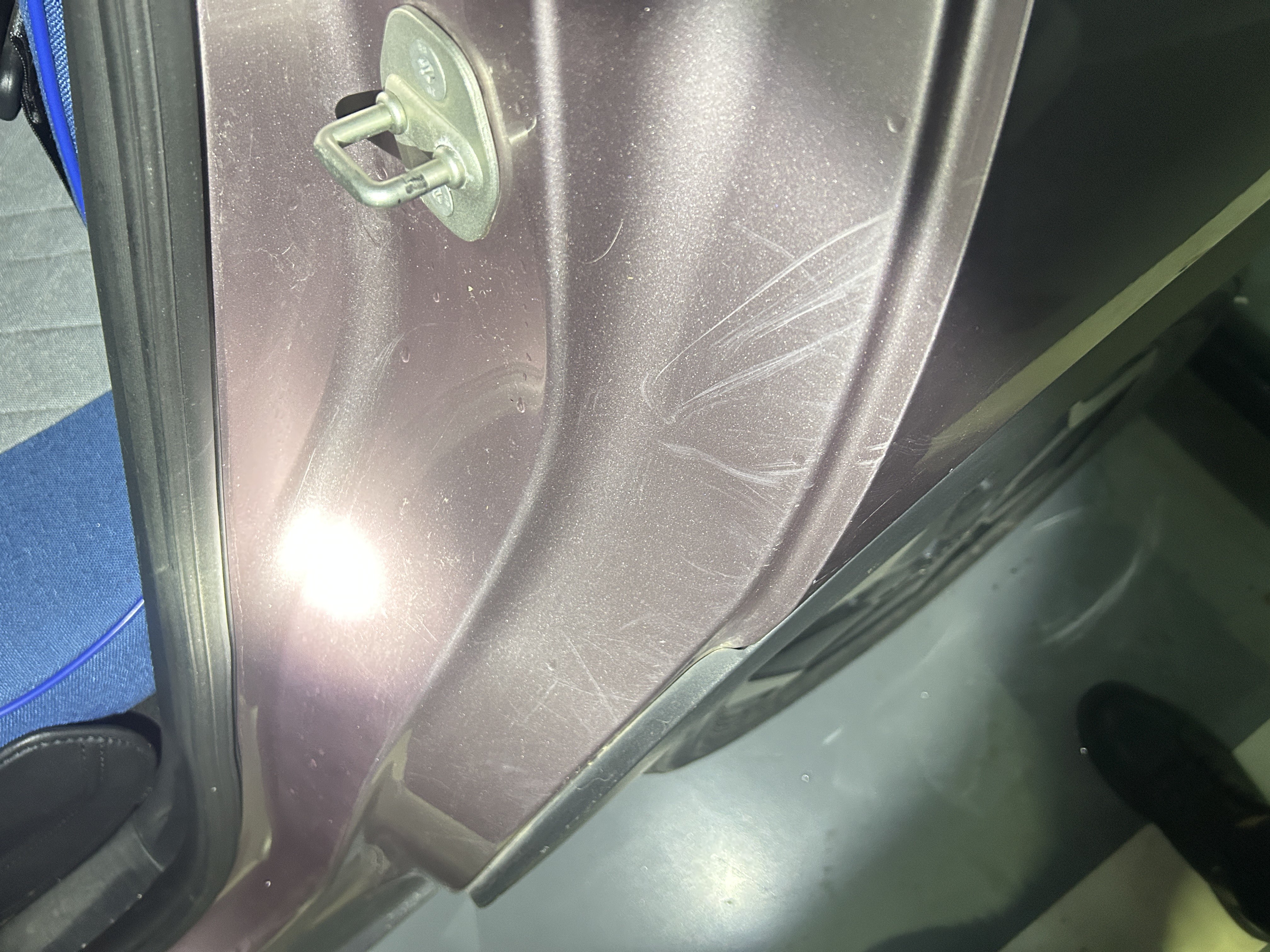 BYD Dolphin 2022 car image #14