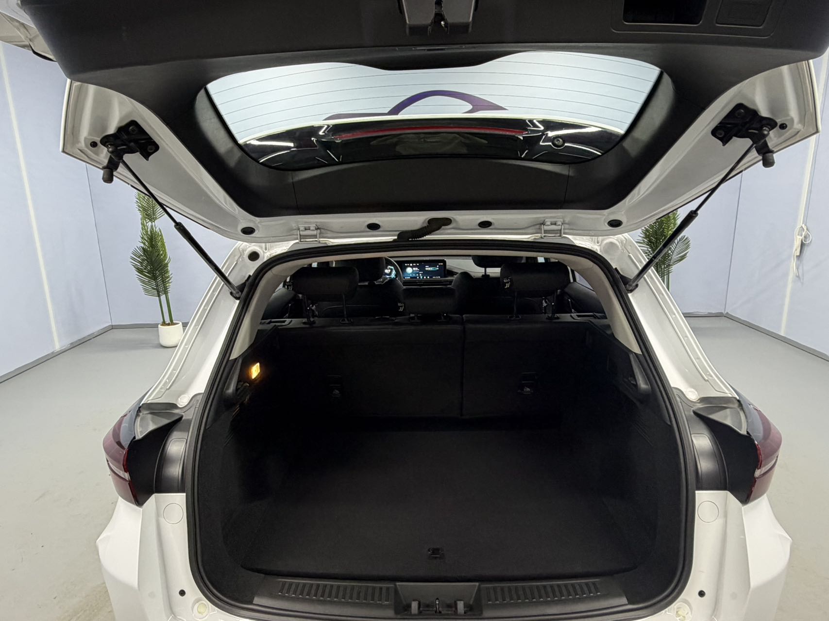 Exceed Chasing Wind 2022 car image #14