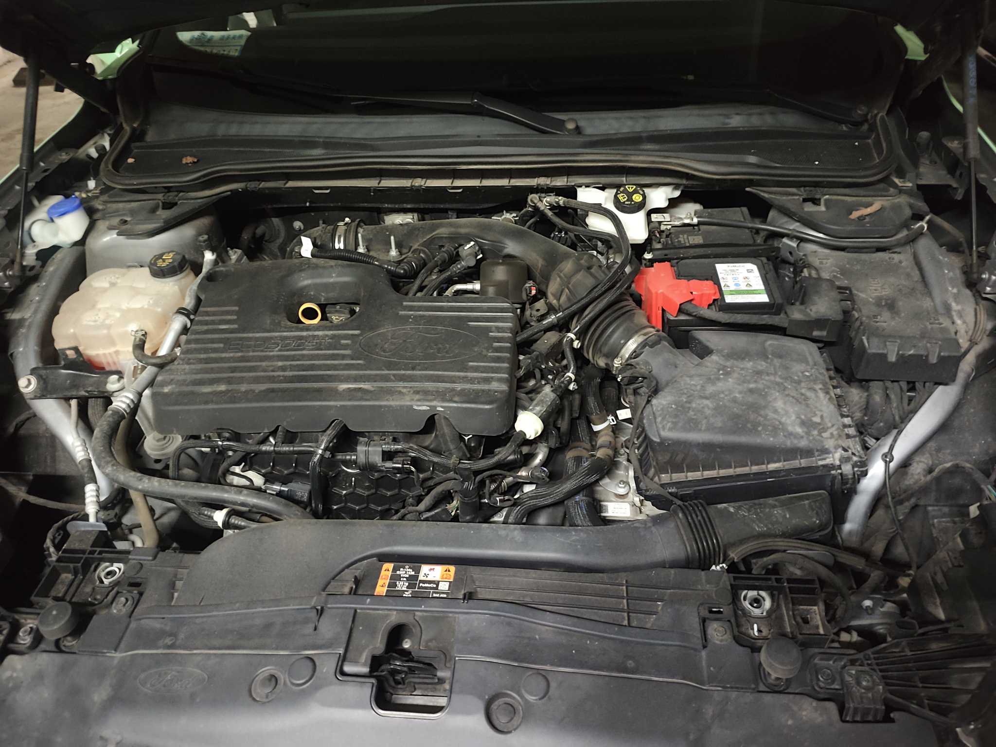 Ford Evos 2022 #14 Ford Evos 2022 car image #14