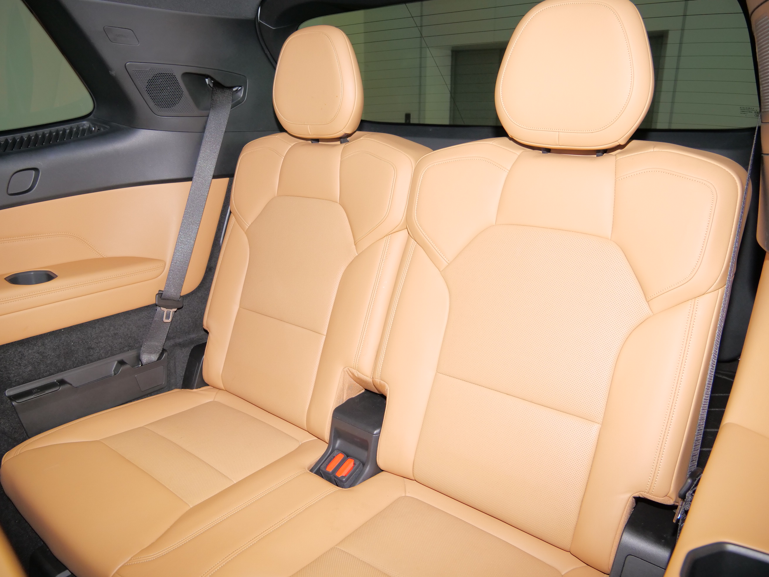 Lynk & Co 09 EM-P 2022 car image #14