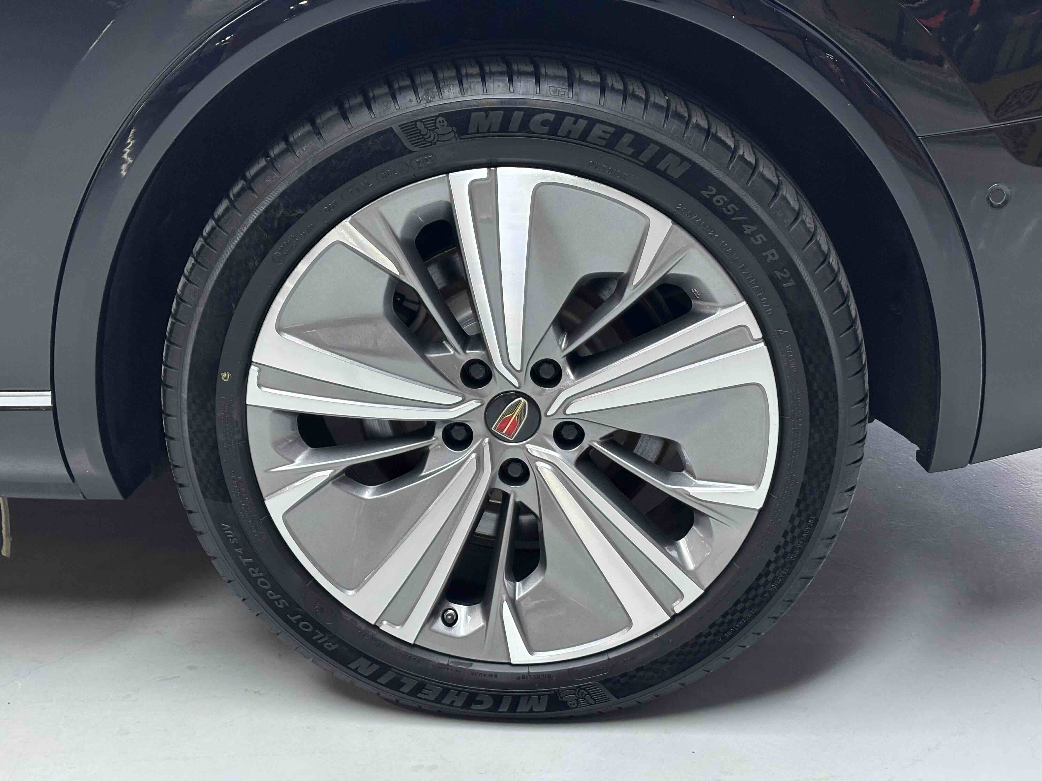 HongQi E-HS9 2023 imagem de carro #14