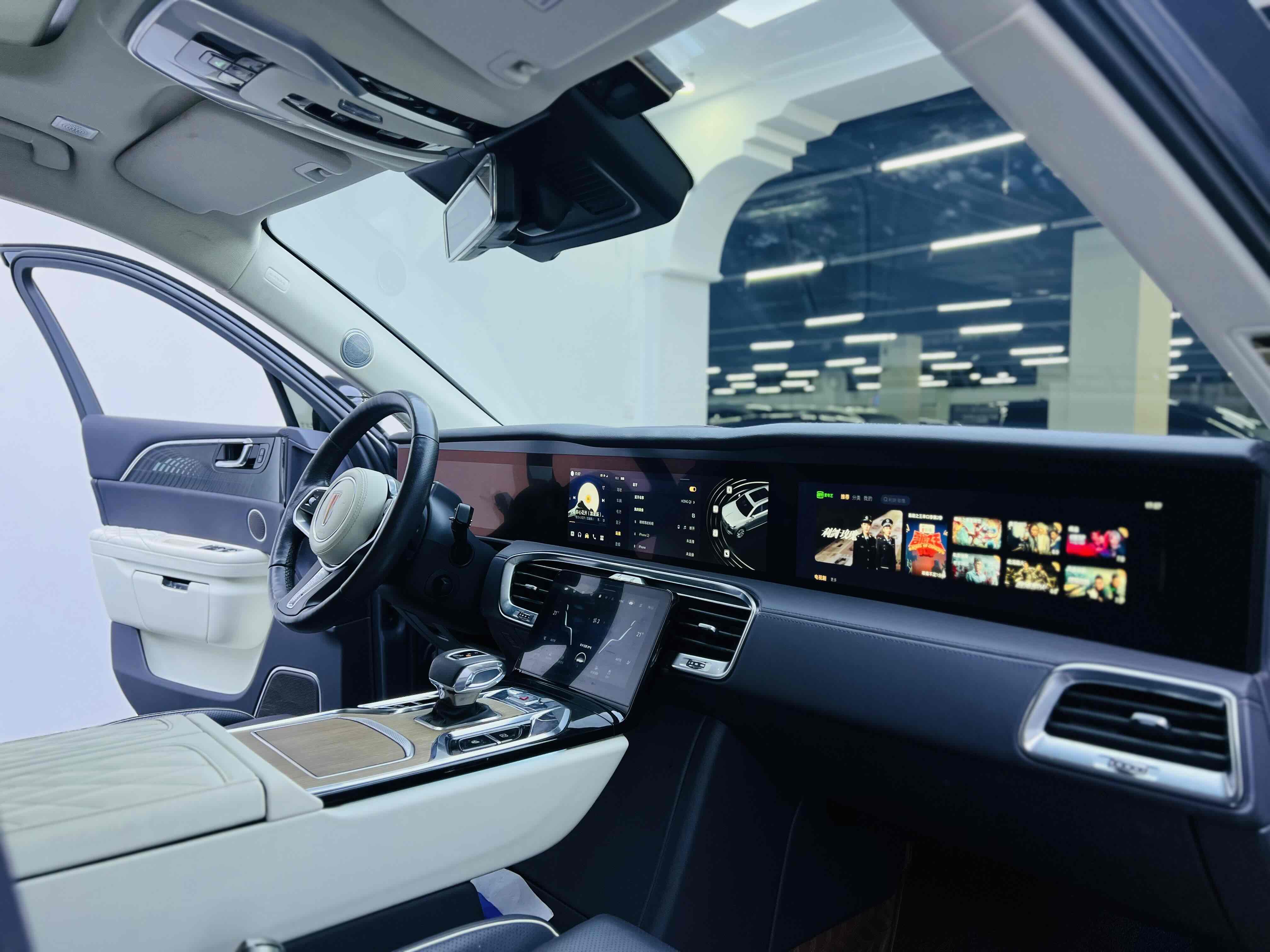 HongQi E-HS9 2022 car image #14